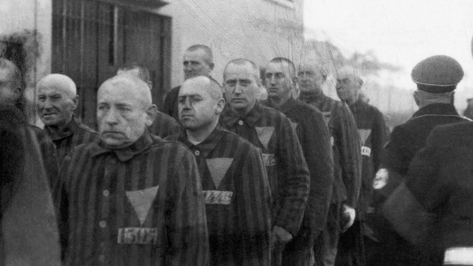  Лагерь Заксенхаузен. Нацистские охранники ведут заключенных с розовыми треугольниками 